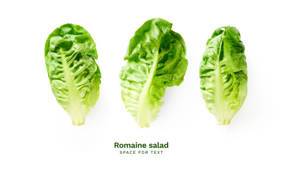 romaine