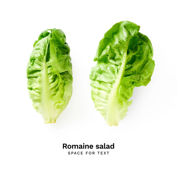 romaine