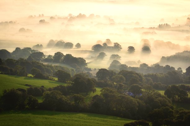 powys
