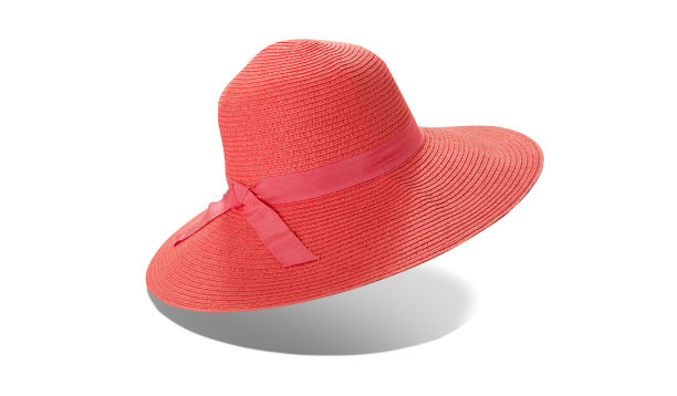 bonnet