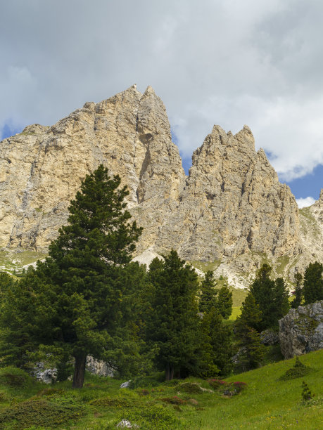 badia
