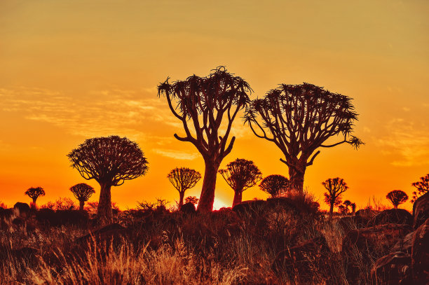 namibia