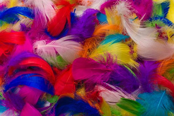 preen