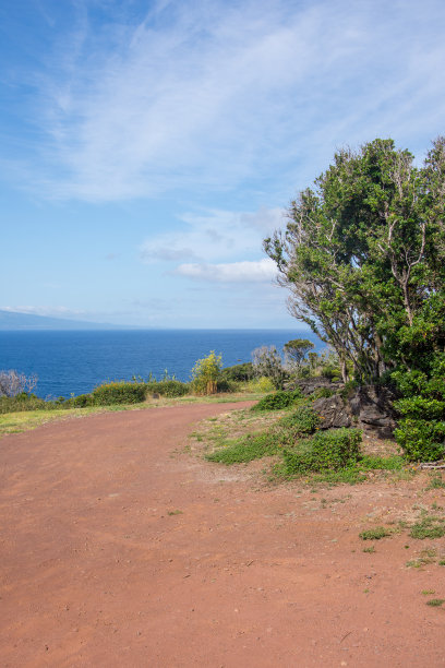 pico
