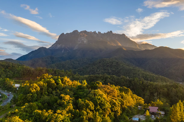 borneo