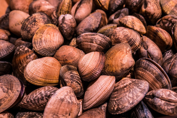 cockle