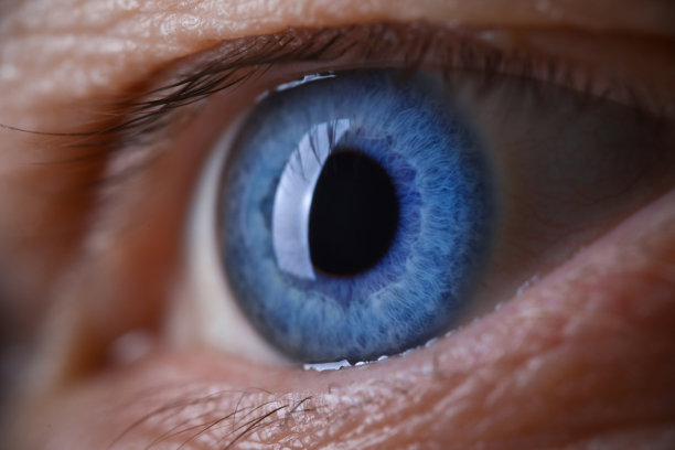 retina
