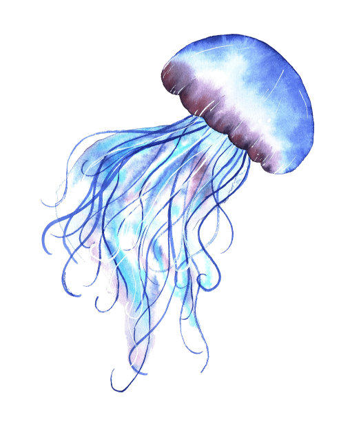 aurelia