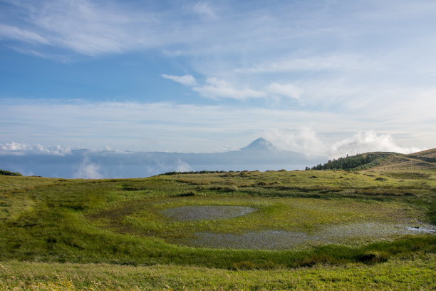 pico
