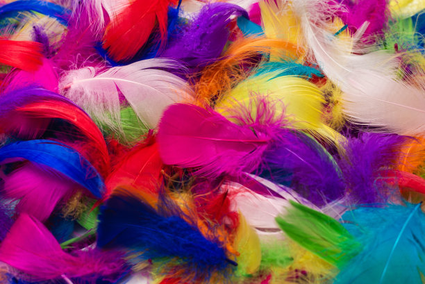 preen