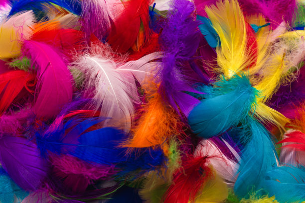 preen