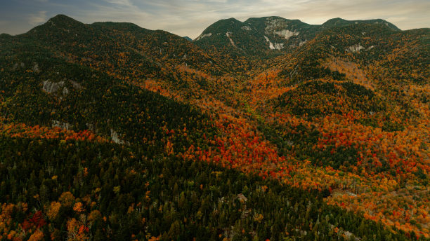 adirondack