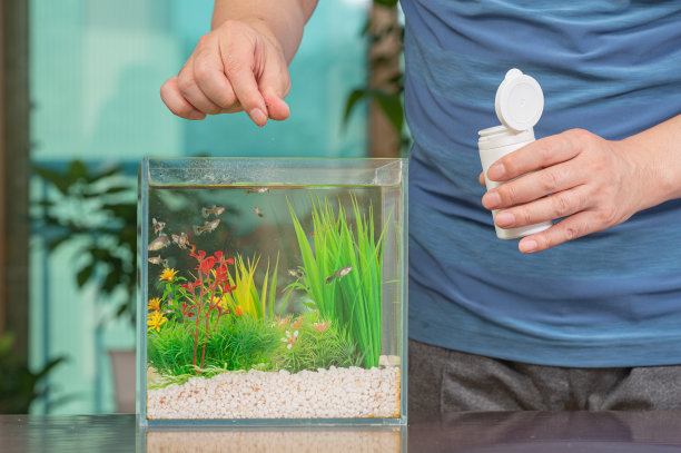 aquarium