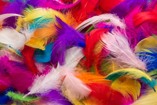 preen