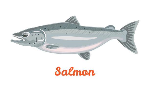 salmo