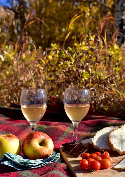 葡萄酒面包苹果绿叶