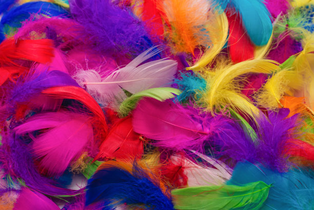 preen