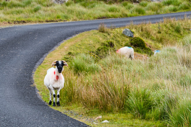 galway
