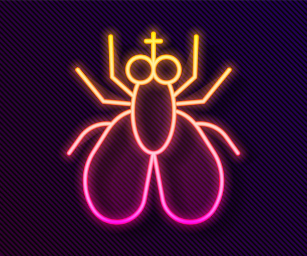 发光眼睛生物特写