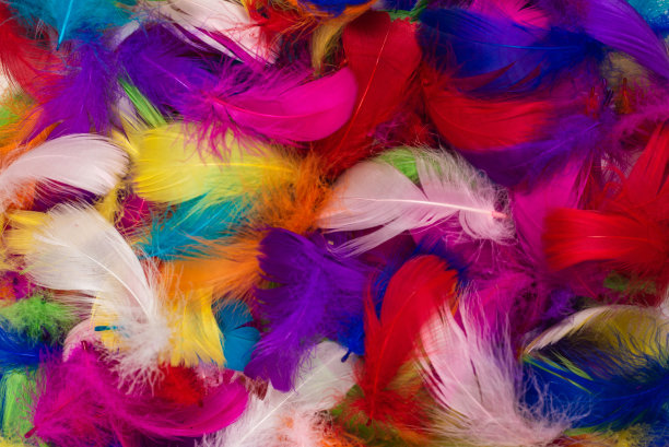 preen