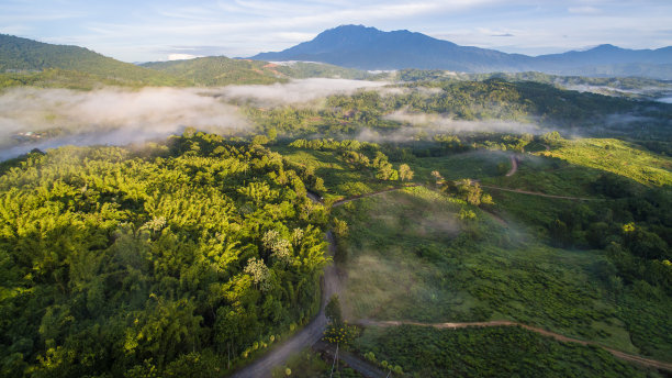 borneo