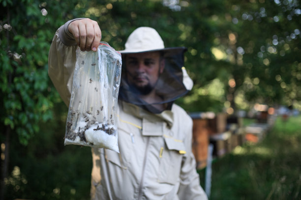 beekeeper