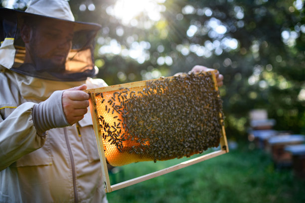 beekeeper