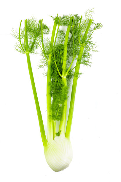 anise