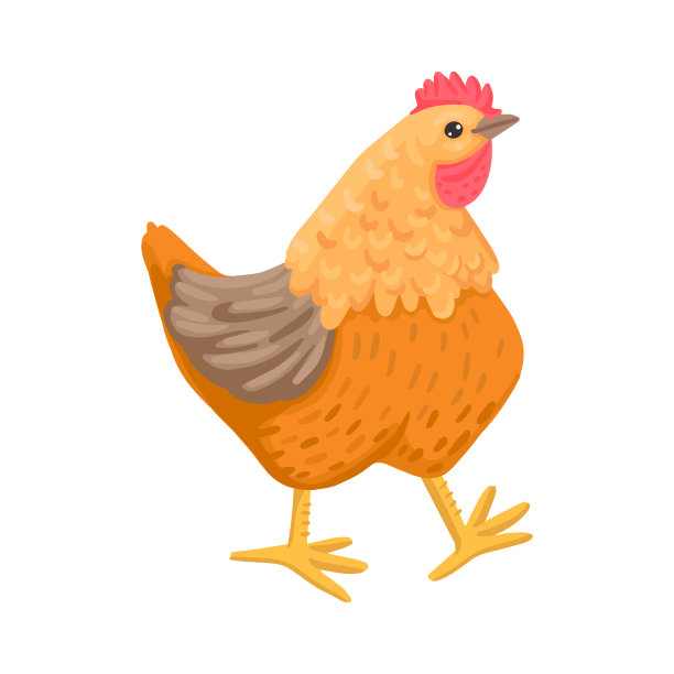 cock