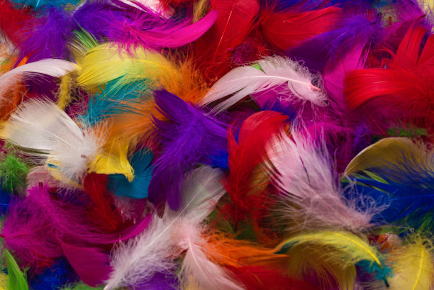 preen