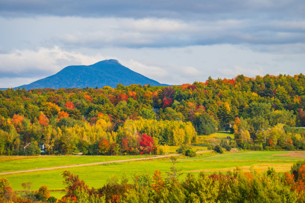 vt