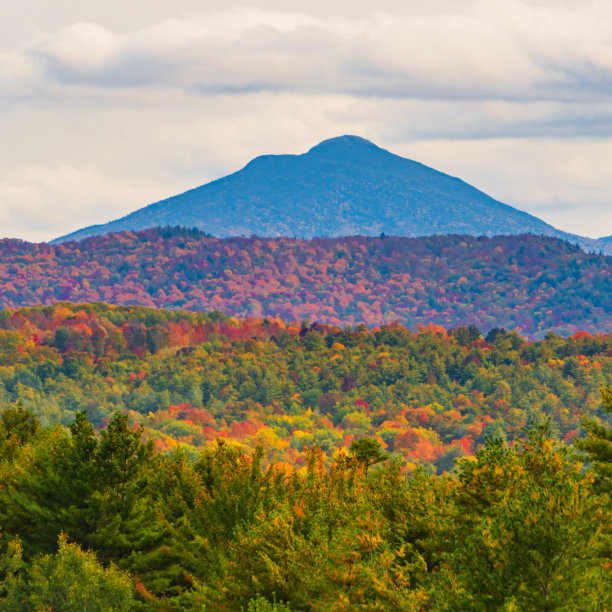vt