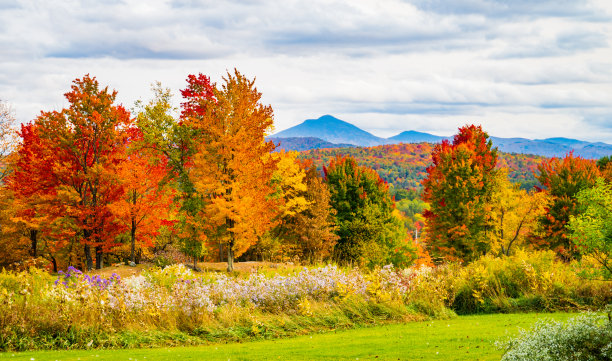 vt