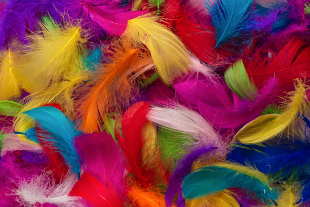 preen