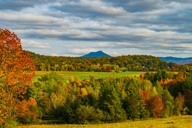 vt
