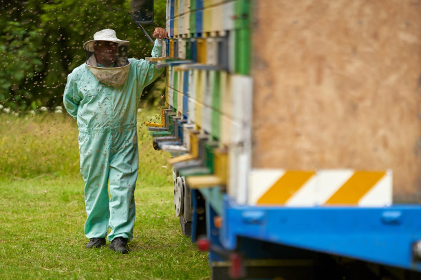 beekeeper