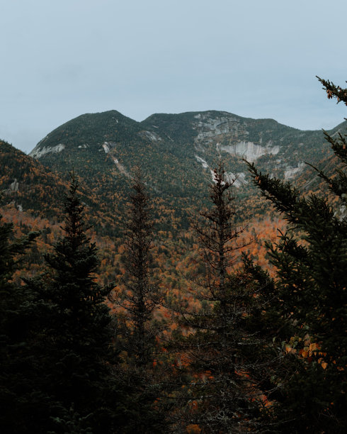 adirondack