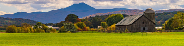 vt