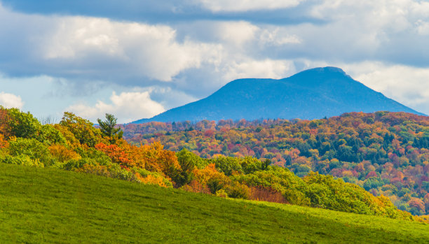 vt