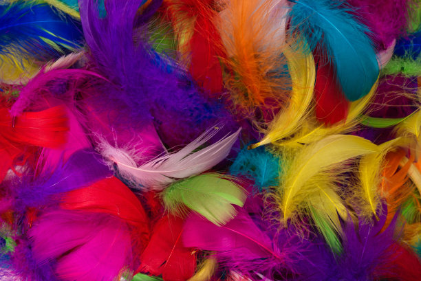 preen