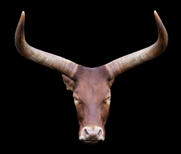 horned