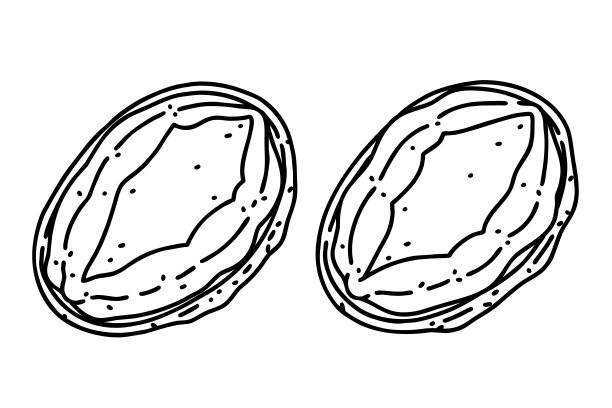 abalone