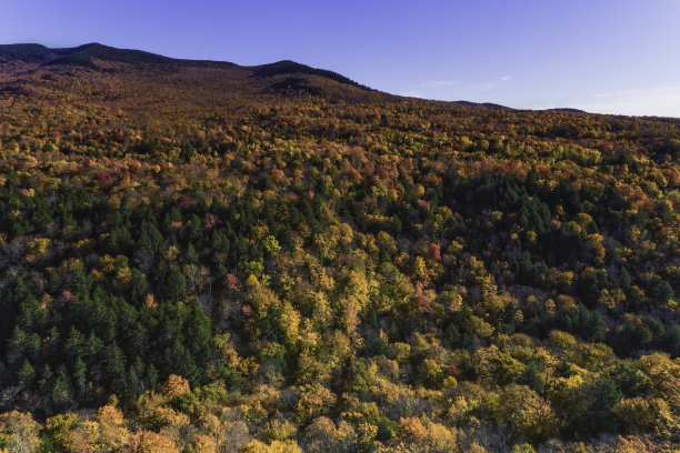 stowe