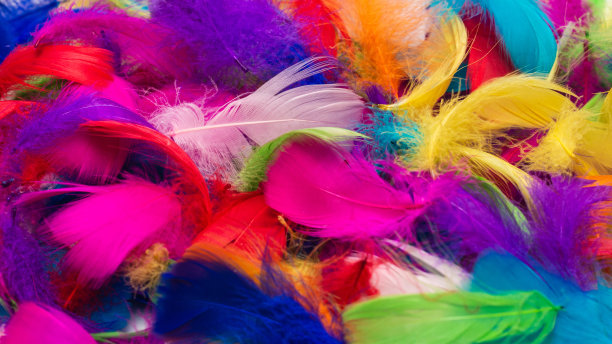 preen