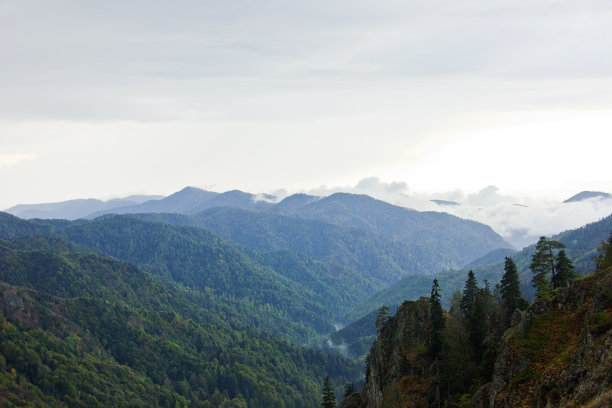 bolu