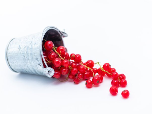 redcurrant
