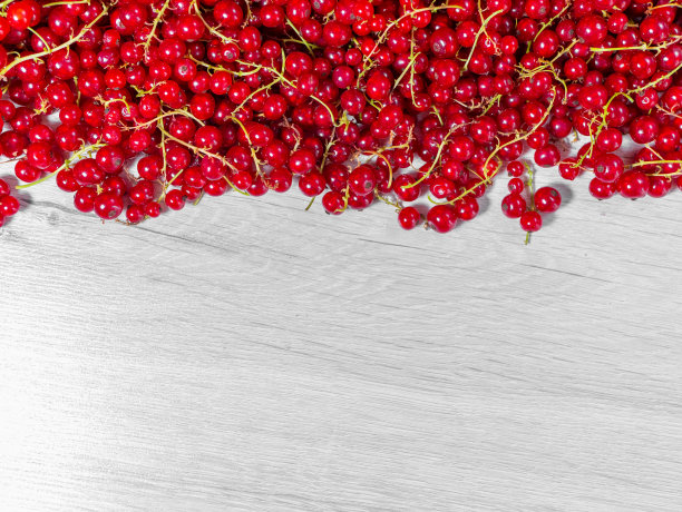 redcurrant