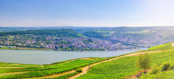 rudesheim