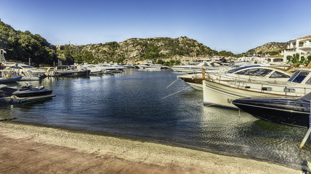 cervo