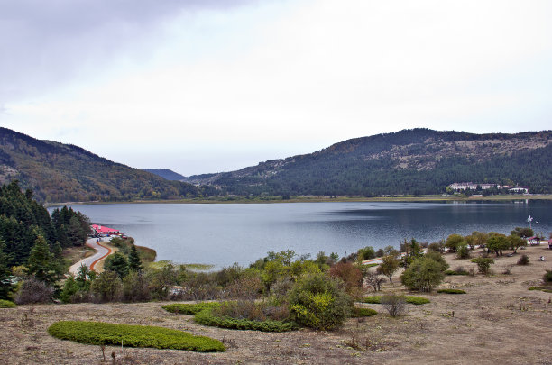 bolu